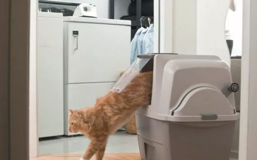 catit-selbstreinigendes-katzenklo1 catit-selbstreinigendes-katzenklo1