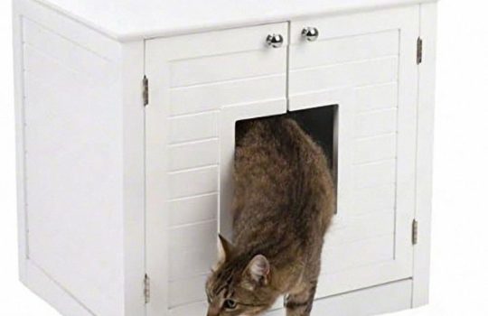 Die Katzentoilette im Schrank