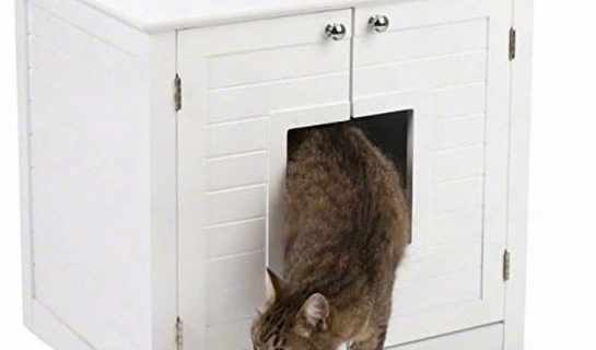Die Katzentoilette im Schrank