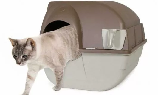 omega-paw-rolln-clean-katzentoilette-21