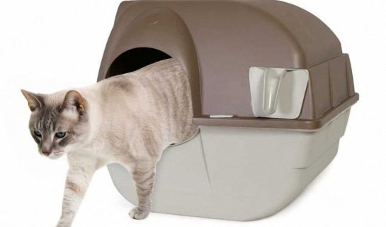 Omega Paw Roll’n Clean selbstreinigende Katzentoilette