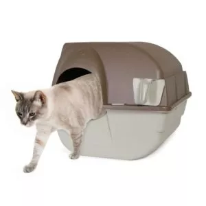 Saubere Katzentoilette beutet eine zufriedene Katze