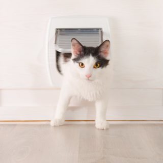 Katzenklo im Schrank kaufen oder selber bauen