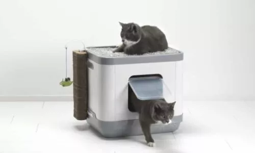 All in One Katzentoilette 