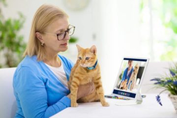Tierarztberatung Online – Telemedizin für Haustiere